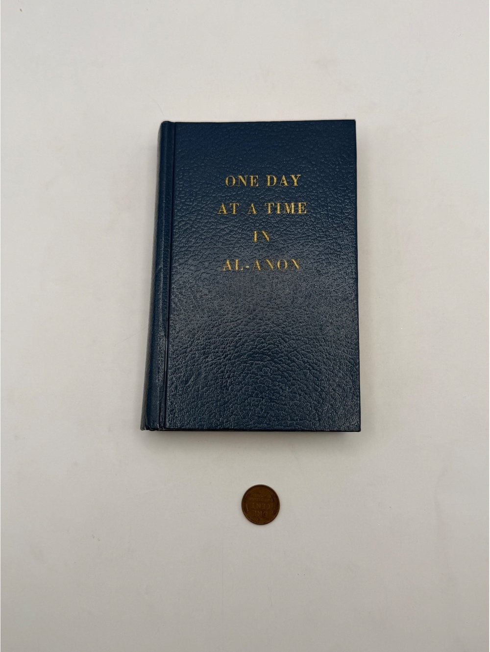One Day at a Time in Al-Anon hardcover